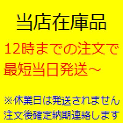 画像1: 自在キャスタープレート式(アジャスター付)ハンマーキャスター