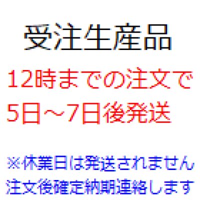 画像1: 自在キャスター差し込みボス式（ストッパー付）　ハンマーキャスター